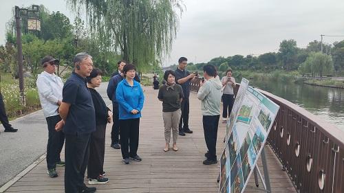 市政协领导调研清河滨水慢行系统共促慢行建设与健康生活融合