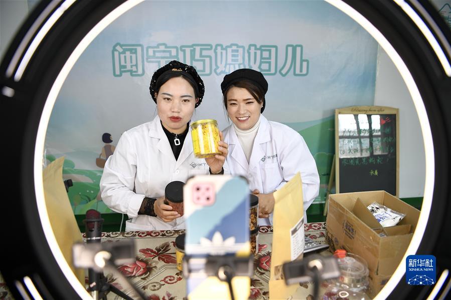 宁夏银川市永宁县闽宁镇闽宁禾美电商扶贫车间员工在直播带货（2020年11月11日摄）。